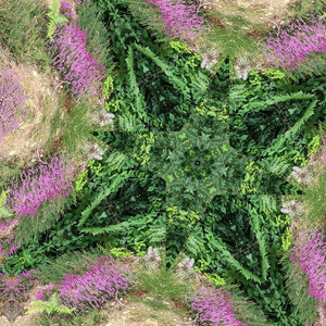 Unlocking secrets held at bay