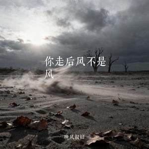 你走后风不是风