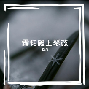 露珠在闪烁