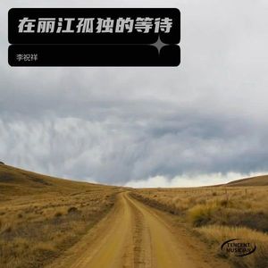 在丽江孤独的等待