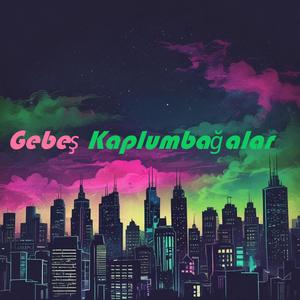 Gebeş Kaplumbağalar
