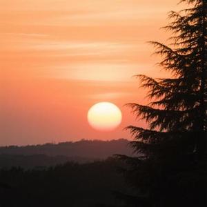 最后一页 (Cover 江语晨)