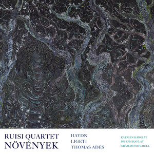 Növények – Seven Hungarian Poems for Mezzo-Soprano and Piano Sextet: No. 6, Hosszú a virágfüzér (Long is the flower-garland)