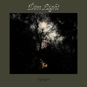 Dim Light (Remastered 2025)