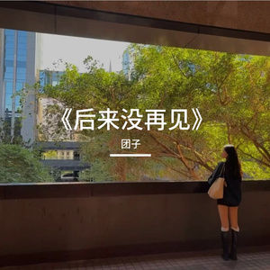 《后来没再见》