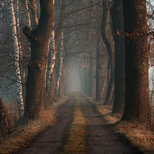 Cupped hands spell (Cover In Gowan Ring)