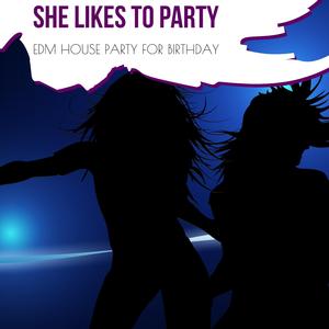 Tech Metrics (EDM Festival Tech House)