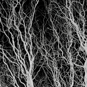 Кроме темноты