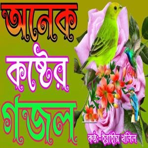 নিরিবিলি গজল টি শুনলে আপনার চোখে পানি চলে আসবে || কষ্টের গজল | কোন বন্ধু নাইরে |বাংলা গজল |New gojol