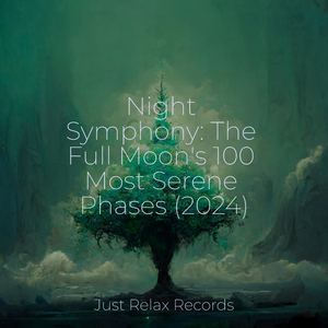 Transient Illusions Unfurling