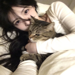 威虫进行曲（升调）