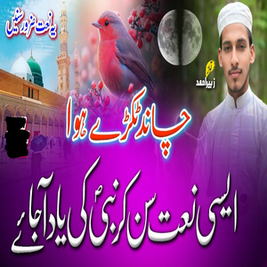 Chand Tukdhe Huwa Duba Suraj Hoga