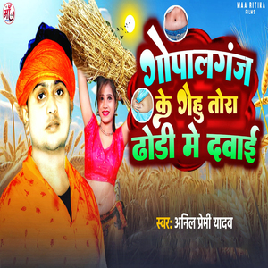Gopalganj Ke Gehu Tora Dhodi Me Dawai (Chaita Song)