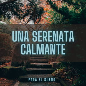 El Silbido Del Reyezuelo