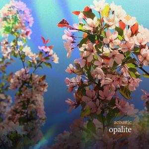 opalite (acoustic)