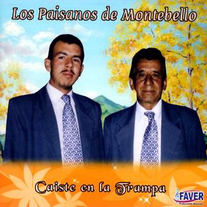 Como Ave Perdida