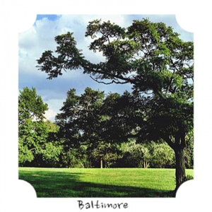 There's a Great Big Beautiful Tomorrow