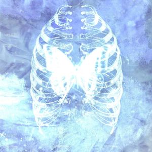 蝴蝶季风(prod.cochin x darutobeatz)