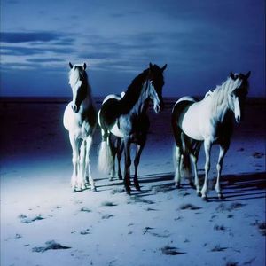 “永恒的爱” 叙事 Gali x Asen x J Cole Type Beat