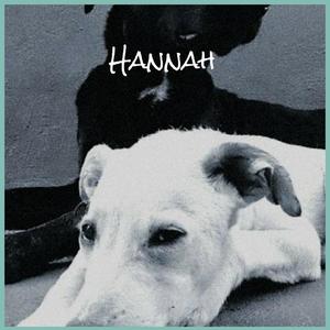 Hannah