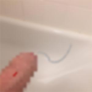 Sporadischer Delfin & Ameisen Bulldoge