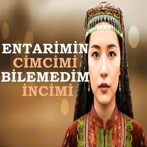 Entarimin Cimcimi Bilemedim İncimi