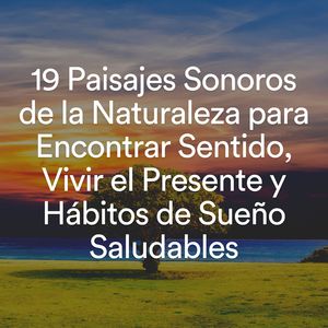 Silencioso e pacífico