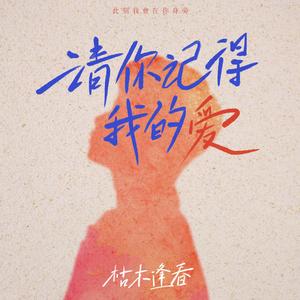 请你记得我的爱