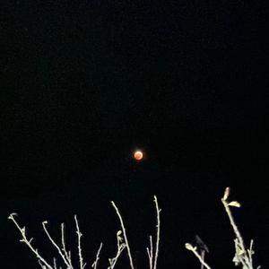 你离开了保定，从此没有人和我说话