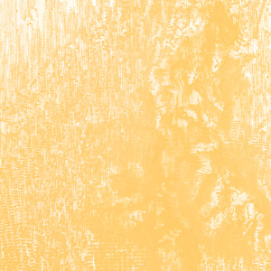 Bring Back the Nineties