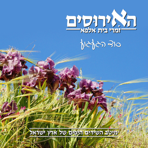 פנים אל מול פנים