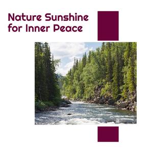 Sleepy Birds of Coniferous Forest