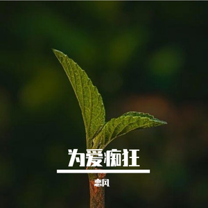 为爱痴狂