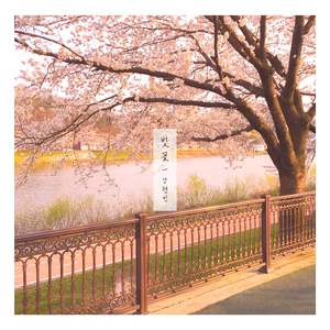 벚꽃 Spring Stroll