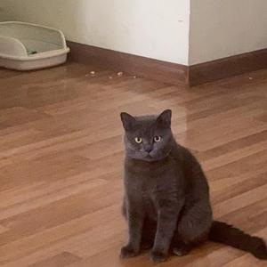 我常常有一种感觉