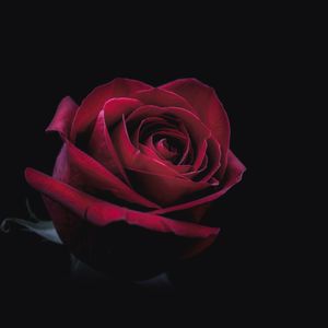 ＂尖叫＂Boombap/法老/Lofi/叙事/Emo Type Beat