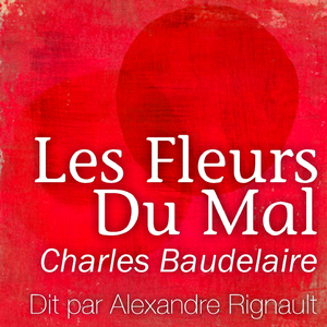 Baudelaire: Les chats - extraits des fleurs du mal