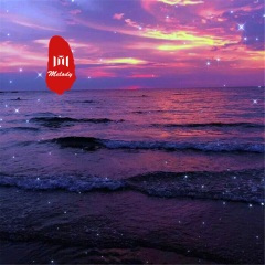 极限上头震撼 (DJ版)