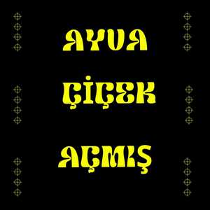 Ayva Çiçek Açmış