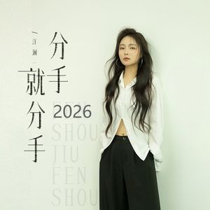 分手就分手2026