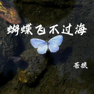 蝴蝶飞不过海 (男版)