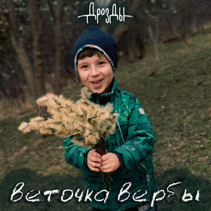 Веточка вербы