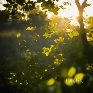 时光的摇晃