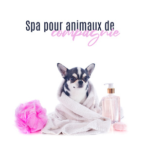 Soulagement du stress