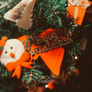 Parting Christmas