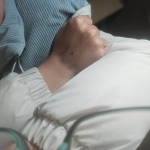 我的希望寄托在他们身上