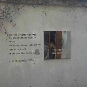 晚枫歌（翻唱）