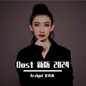 Dost 新版 2024