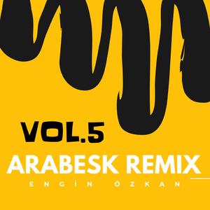 Resmini Öptümde Yattım