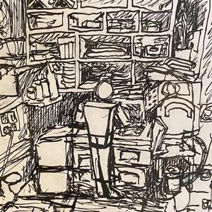 what should we do for you, emperor pigeon?